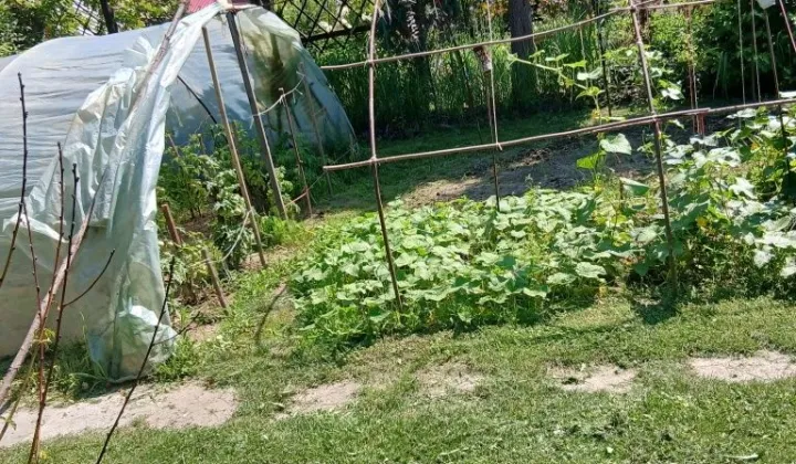Działka rod Proszowice