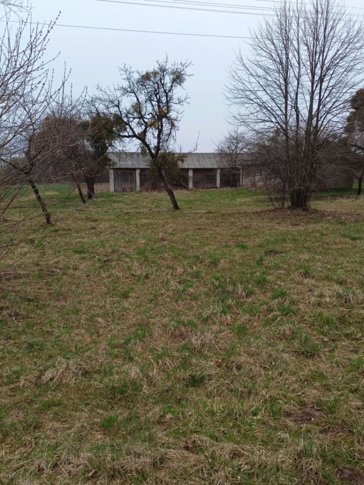 Działka siedliskowa Podkrasne. Zdjęcie 4