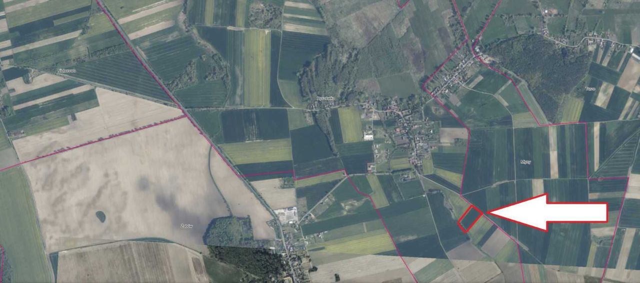 Działka rolna Ryszewko. Zdjęcie 2