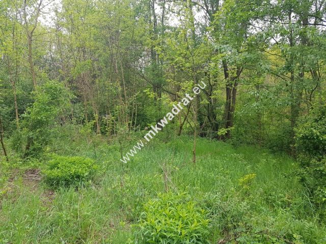 Działka rolna Korabiewice. Zdjęcie 1