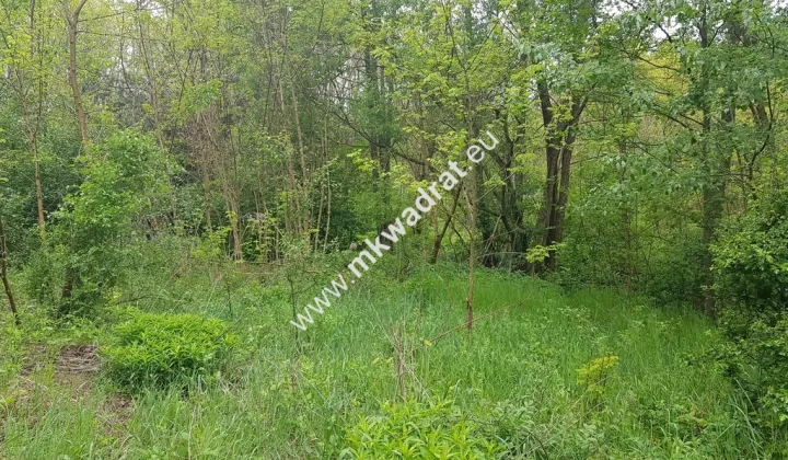 Działka rolna Korabiewice