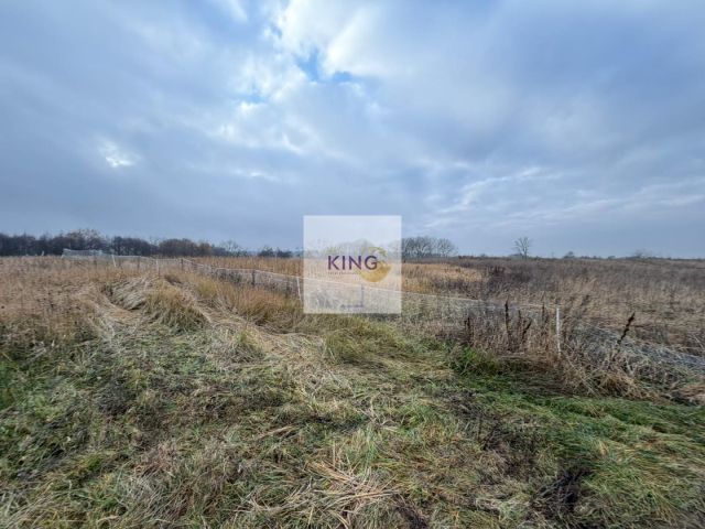 Działka rolna Dębogóra. Zdjęcie 3