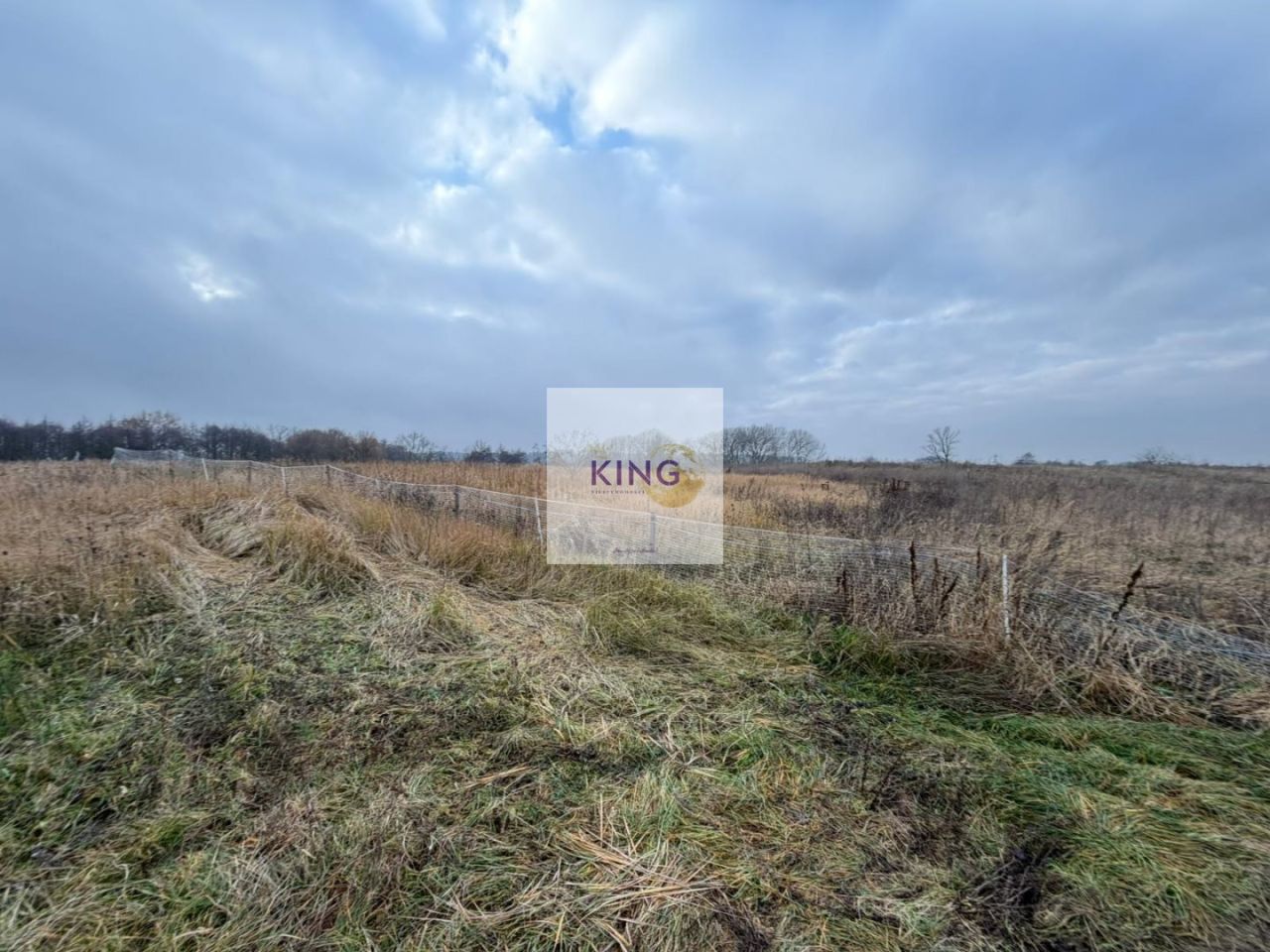 Działka rolna Dębogóra. Zdjęcie 3