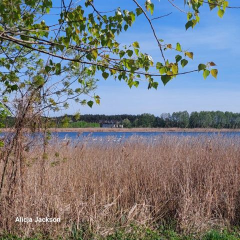 Działka budowlana Skępe Wymyślin, Kwiatowa. Zdjęcie 1