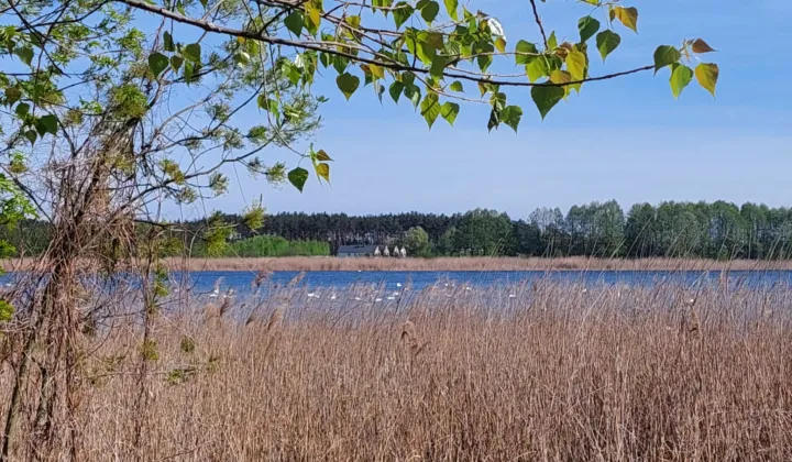 Działka budowlana Skępe Wymyślin, Kwiatowa