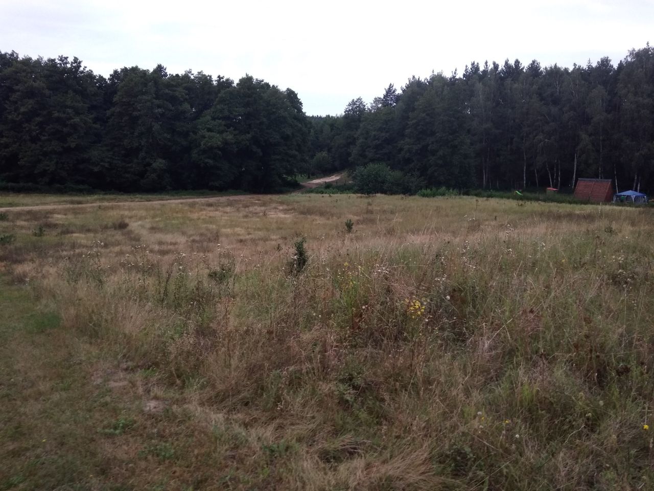 Działka rolna Rakownia, Rakownia. Zdjęcie 4