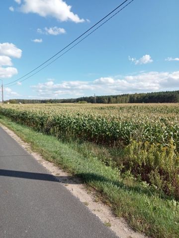 Działka rolna Obrowo, ul. Leszczynowa. Zdjęcie 1