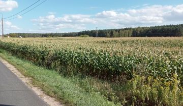 Działka rolna Obrowo, ul. Leszczynowa