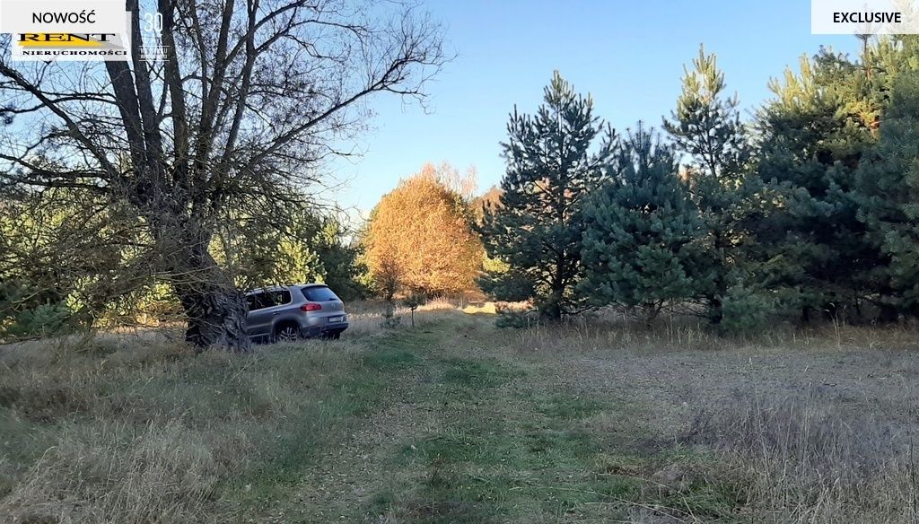 Działka rekreacyjna Krzywnica. Zdjęcie 7