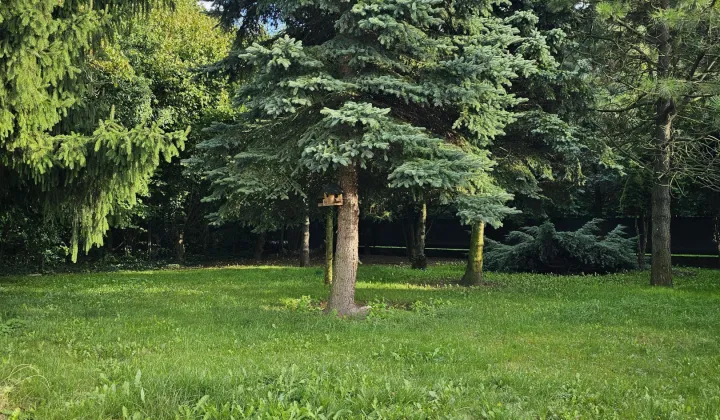 Działka rolno-budowlana Latosówka, ul. Słoneczna