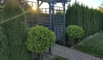 Działka rod Radomsko