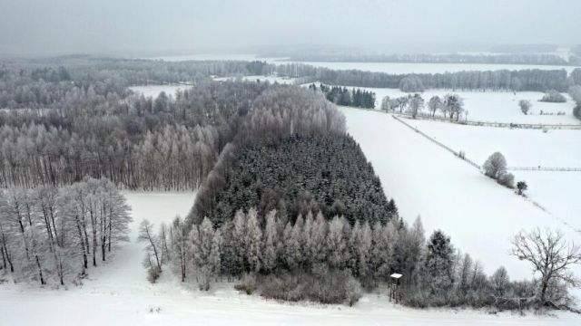 Działka leśna Harsz. Zdjęcie 13