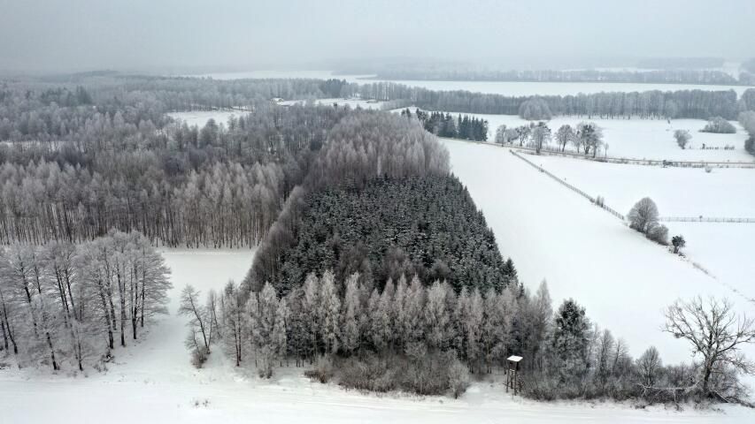 Działka leśna Harsz. Zdjęcie 13