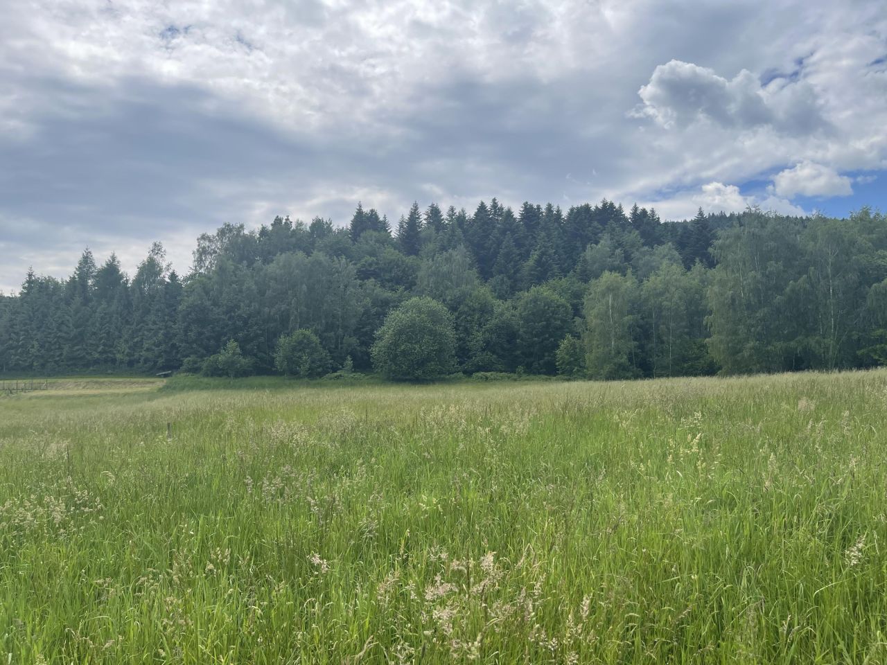 Działka budowlana Twardorzeczka, ul. Platynowa. Zdjęcie 8