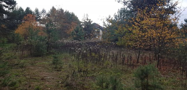 Działka budowlana Biskupice Oławskie Celina, ul. Leśna. Zdjęcie 1