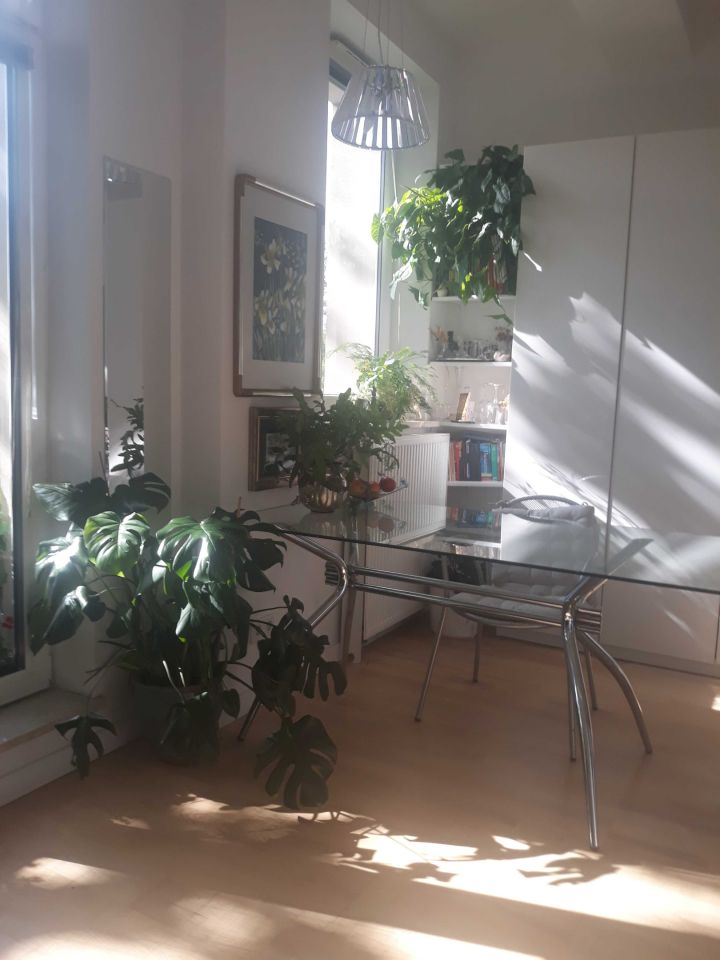 Mieszkanie 1-pokojowe Kraków Krowodrza, ul. Mazowiecka