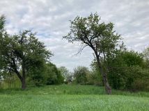 Działka rolno-budowlana Prusinowice. Zdjęcie 3