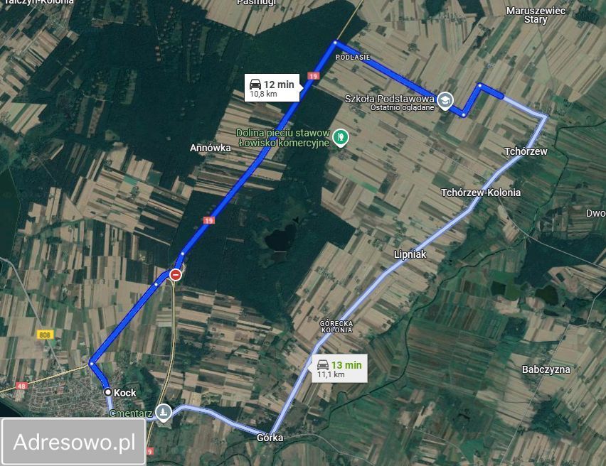 siedlisko Tchórzew-Kolonia. Zdjęcie 16