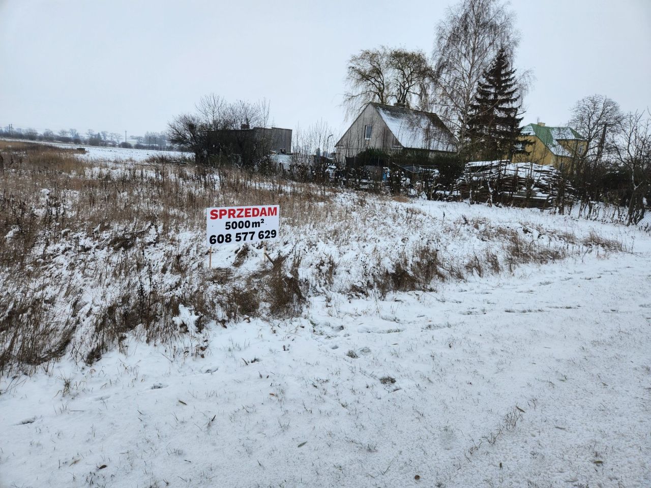 Działka rolno-budowlana Brzoza. Zdjęcie 7