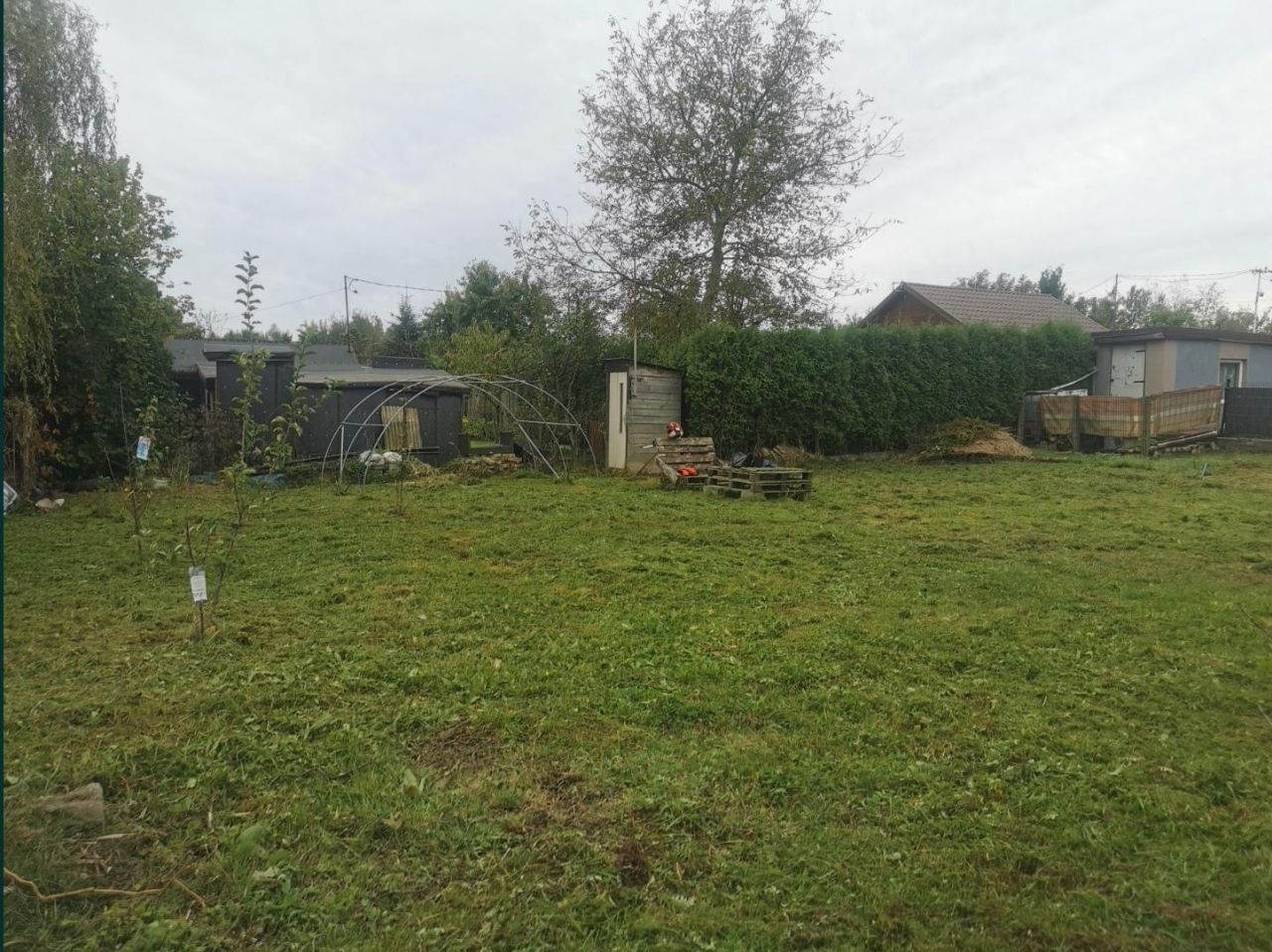 Działka rod Lędziny Nowy Hołdunów, ul. Działkowców. Zdjęcie 3