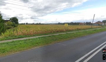 Działka budowlana Dęby Szlacheckie