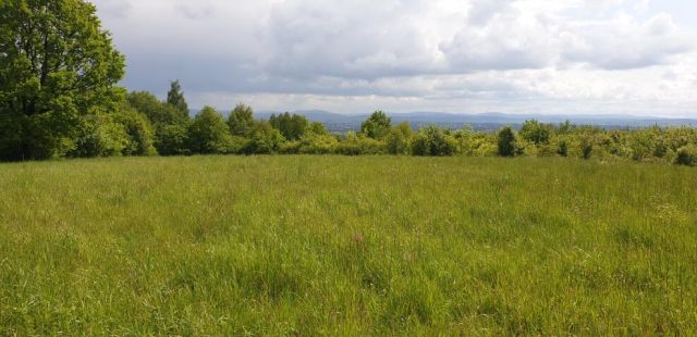 Działka budowlana Odrzykoń, ul. Piekło. Zdjęcie 2