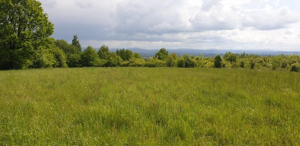 Działka budowlana Odrzykoń, ul. Piekło. Zdjęcie 2