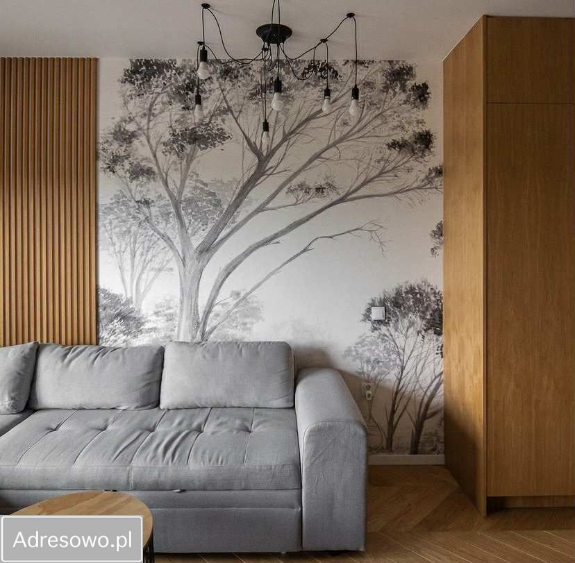 Mieszkanie 2-pokojowe Warszawa Ochota, ul. Grójecka. Zdjęcie 1