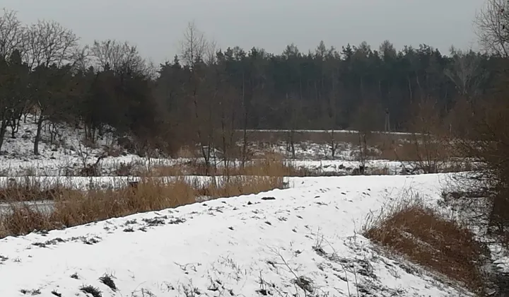 Działka rolno-budowlana Szumsko-Kolonie