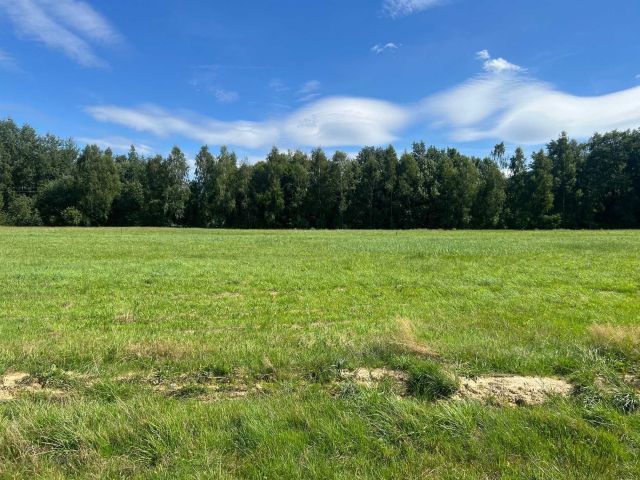 Działka budowlana Chocznia Zarębki. Zdjęcie 1