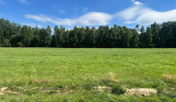 Działka budowlana Chocznia Zarębki