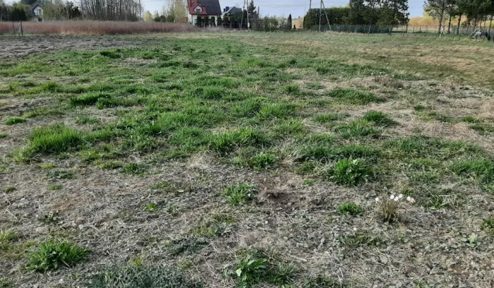 Działka budowlana Dębe Wielkie, ul. Polna