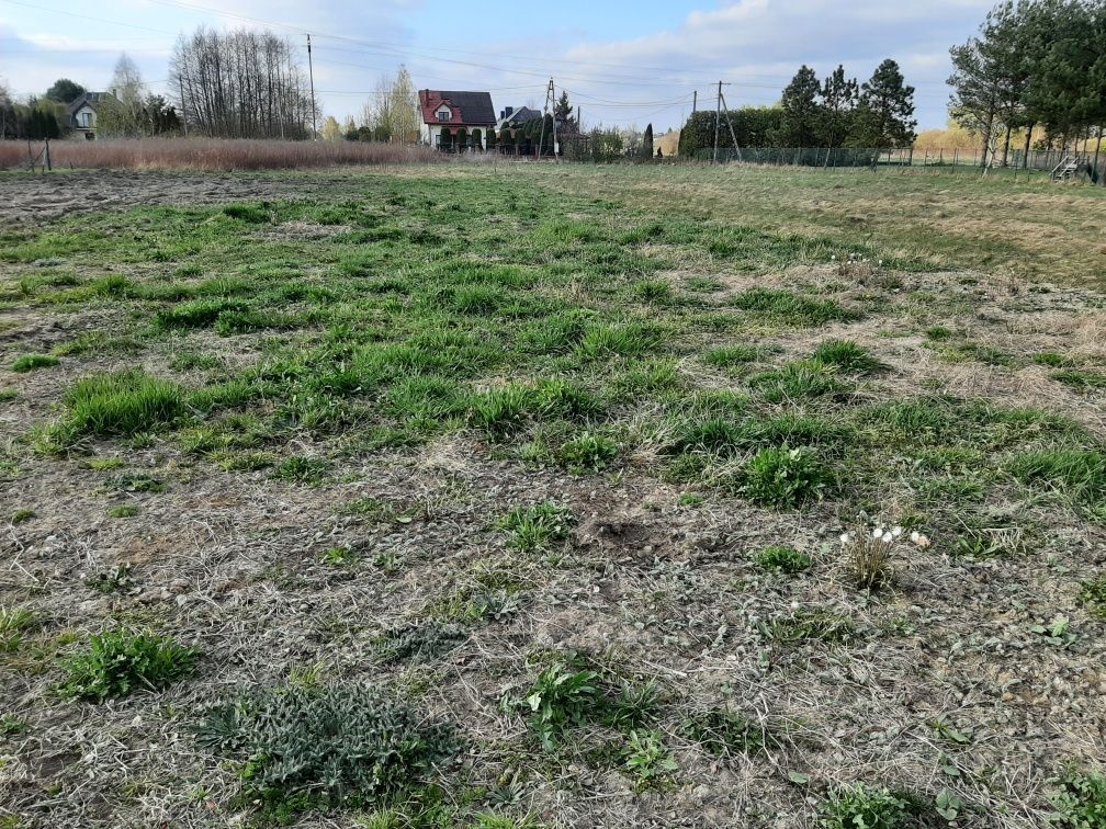 Działka budowlana Dębe Wielkie, ul. Polna. Zdjęcie 1