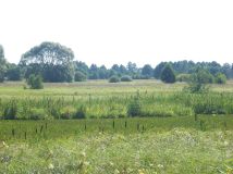 Działka rolna Morzyczyn Włościański. Zdjęcie 2