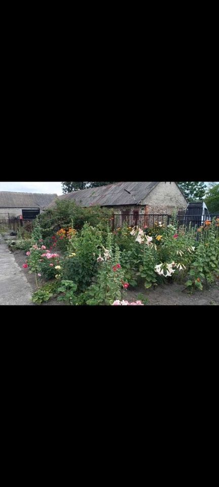 Działka rolno-budowlana Kozinki. Zdjęcie 5