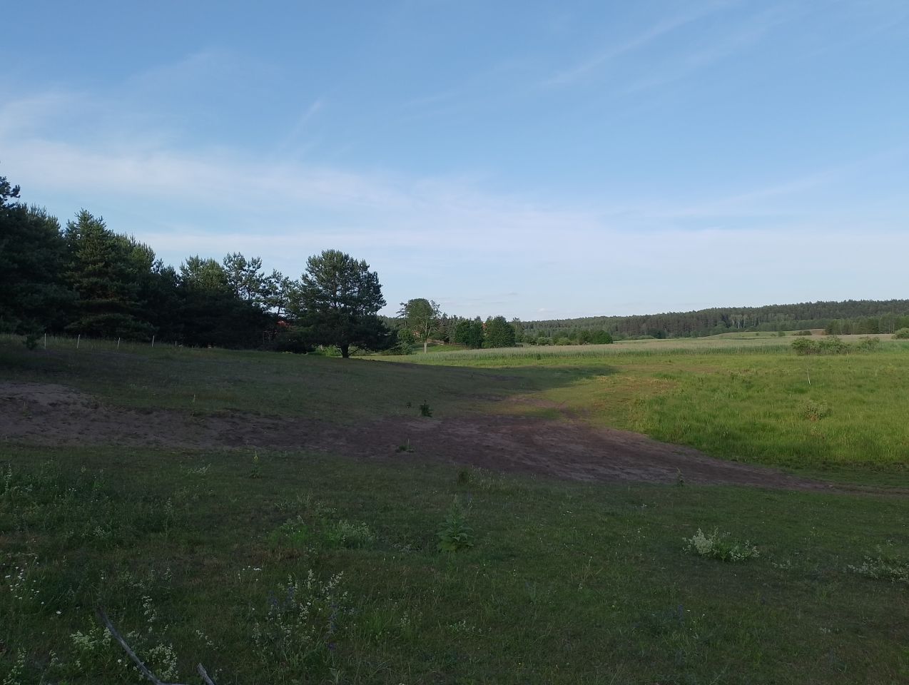 Działka rekreacyjna Kurki. Zdjęcie 8