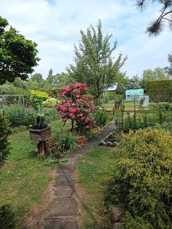 Działka rod Bielsk Podlaski. Zdjęcie 8