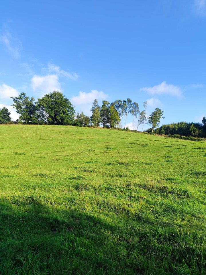 Działka budowlana Brodnica Górna. Zdjęcie 3