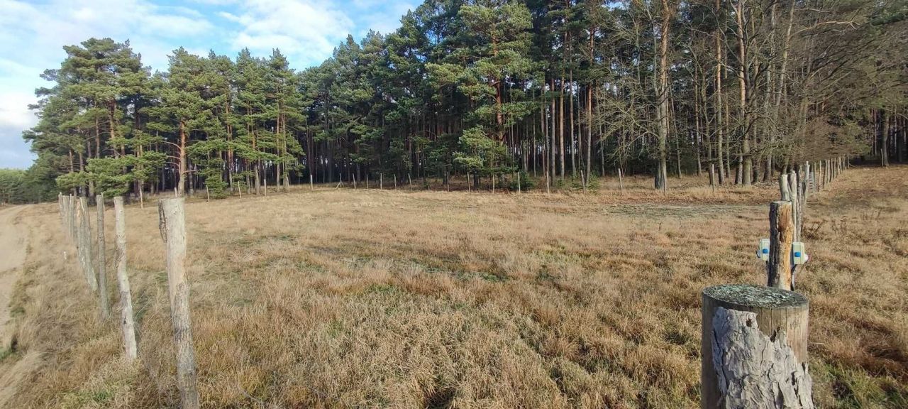 Działka budowlana Bronków. Zdjęcie 7