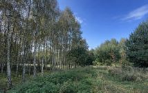 Działka budowlana Łochowice, ul. Łąkowa. Zdjęcie 1