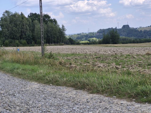 Działka rolno-budowlana Szynwałd. Zdjęcie 24
