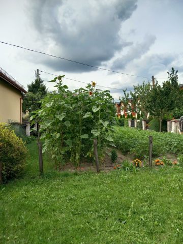 Działka budowlana Rzeszów Wilkowyja, ul. Jana Olbrachta. Zdjęcie 1