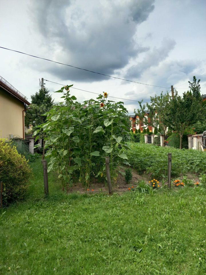 Działka budowlana Rzeszów Wilkowyja, ul. Jana Olbrachta