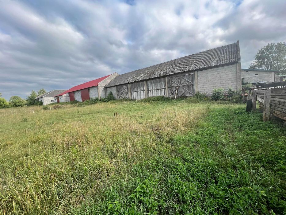 gospodarstwo Kostry-Noski. Zdjęcie 4