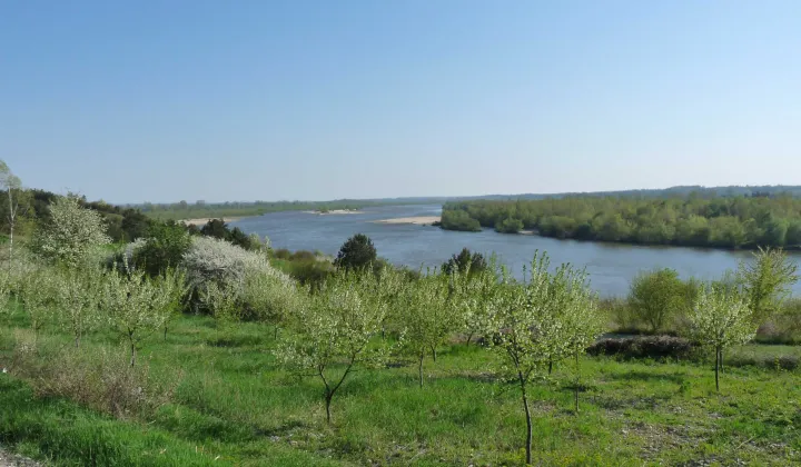 Działka inwestycyjna Opoczka Mała