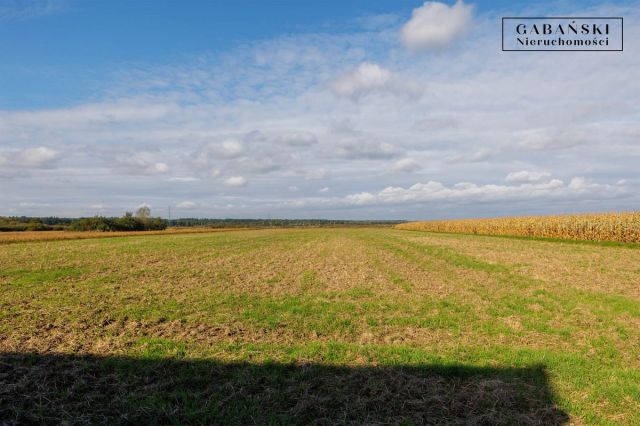 Działka budowlana Zabawa, ul. Polna. Zdjęcie 8