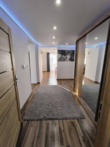 dom wolnostojący, 6 pokoi Parma. Zdjęcie 12