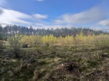 Działka inwestycyjna Rudno Jeziorowe. Zdjęcie 1