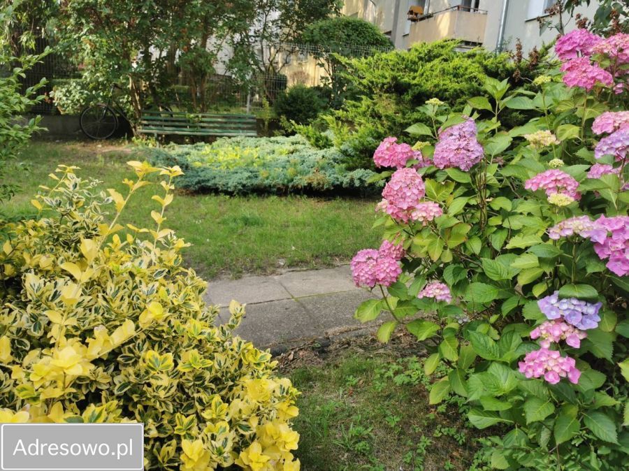 Mieszkanie 2-pokojowe Gdynia Wzgórze Świętego Maksymiliana, ul. Górna. Zdjęcie 8