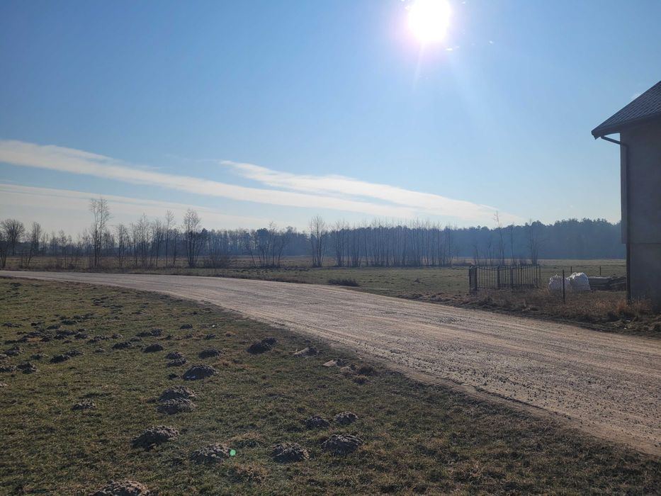 Działka rolno-budowlana Adamowo. Zdjęcie 2